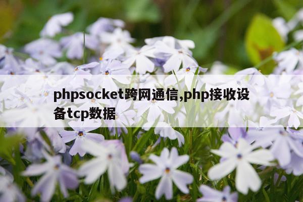 phpsocket跨网通信,php接收设备tcp数据