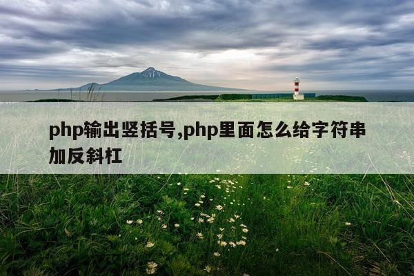 php输出竖括号,php里面怎么给字符串加反斜杠