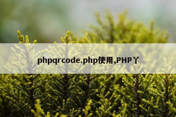 phpqrcode.php使用,PHP丫