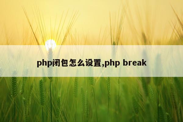 php闭包怎么设置,php break