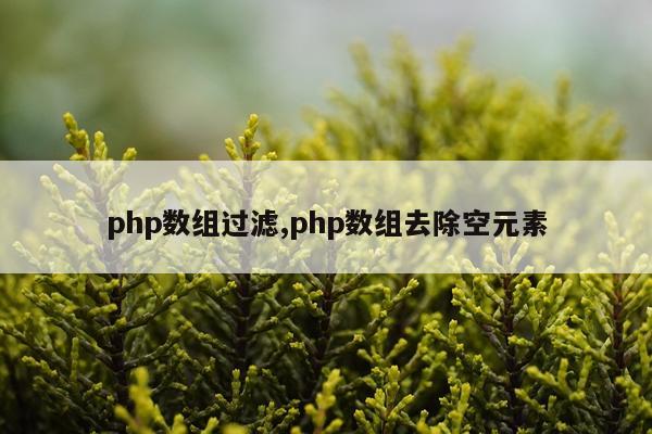 php数组过滤,php数组去除空元素