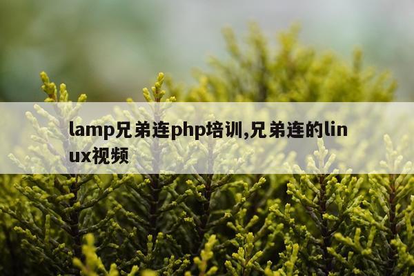 lamp兄弟连php培训,兄弟连的linux视频