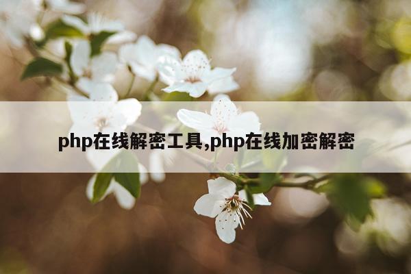 php在线解密工具,php在线加密解密