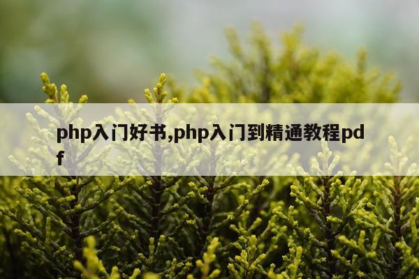 php入门好书,php入门到精通教程pdf
