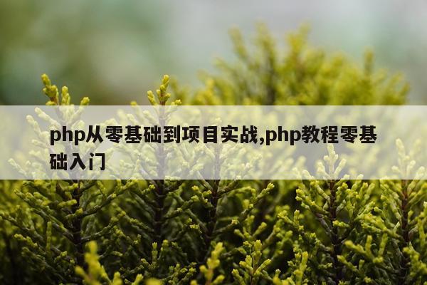 php从零基础到项目实战,php教程零基础入门