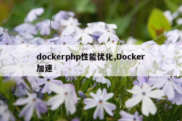 dockerphp性能优化,Docker加速