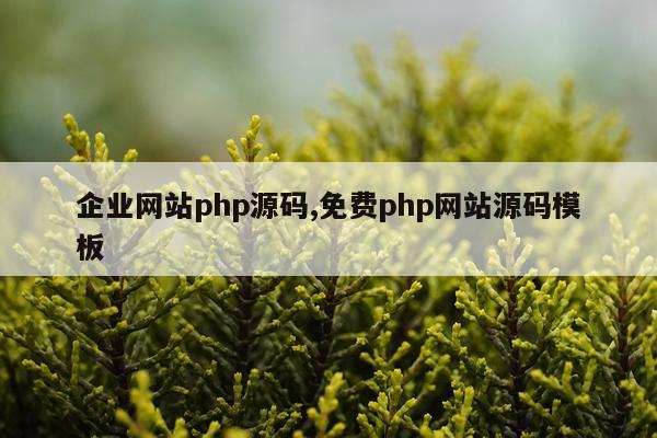 企业网站php源码,免费php网站源码模板
