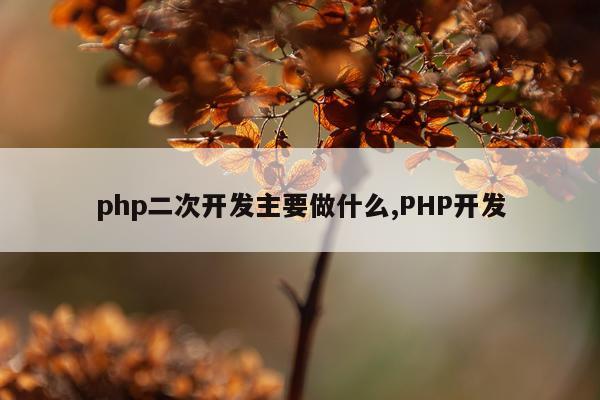 php二次开发主要做什么,PHP开发