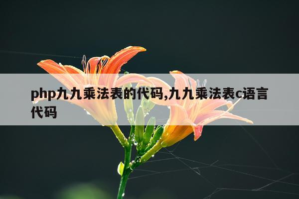 php九九乘法表的代码,九九乘法表c语言代码