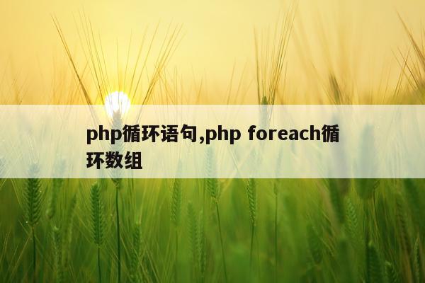 php循环语句,php foreach循环数组