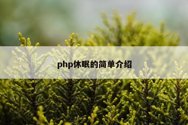 php休眠的简单介绍