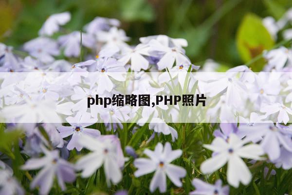 php缩略图,PHP照片