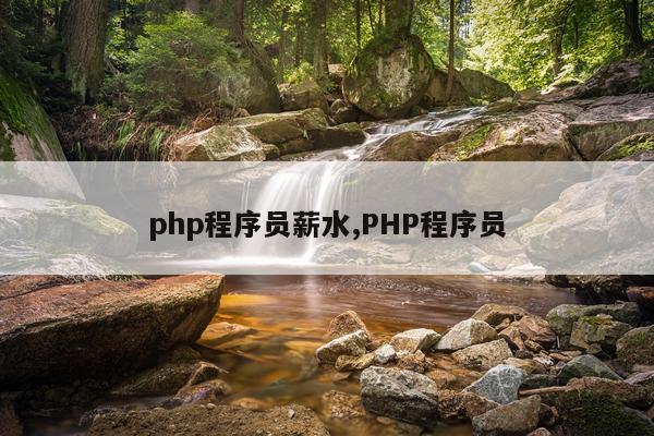 php程序员薪水,PHP程序员