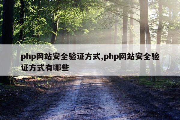 php网站安全验证方式,php网站安全验证方式有哪些