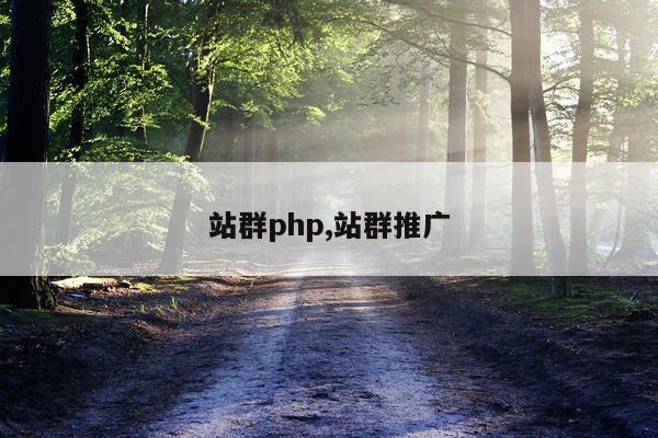 站群php,站群推广