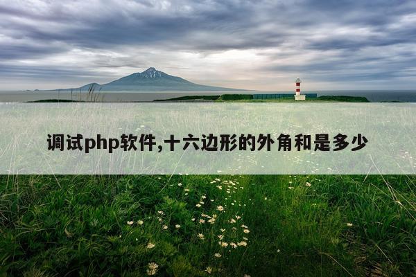 调试php软件,十六边形的外角和是多少