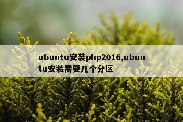 ubuntu安装php2016,ubuntu安装需要几个分区