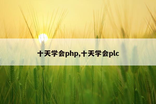 十天学会php,十天学会plc