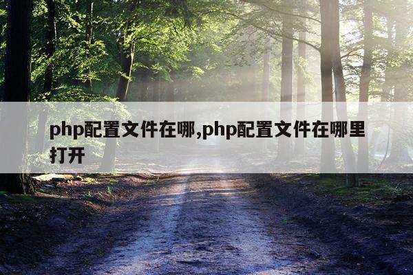 php配置文件在哪,php配置文件在哪里打开