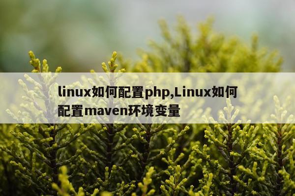 linux如何配置php,Linux如何配置maven环境变量