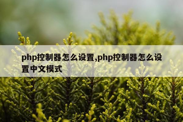 php控制器怎么设置,php控制器怎么设置中文模式