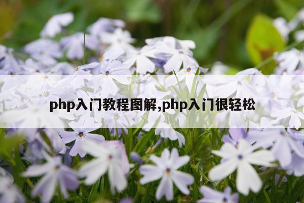 php入门教程图解,php入门很轻松