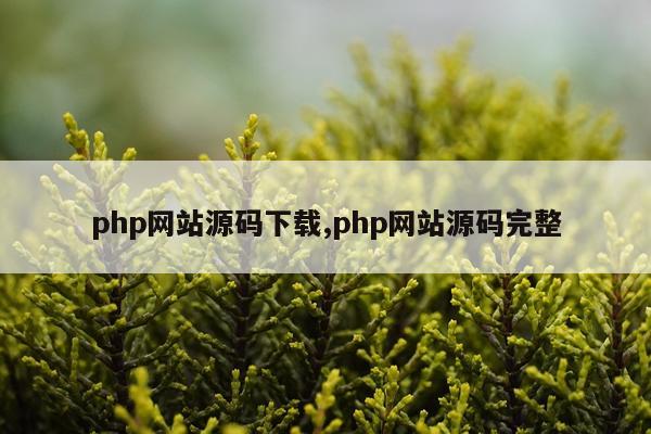 php网站源码下载,php网站源码完整