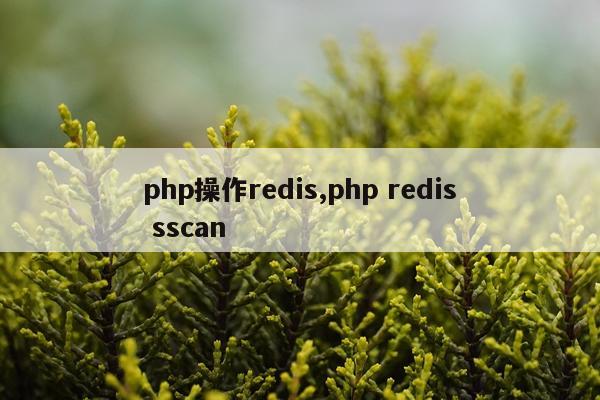 php操作redis,php redis sscan
