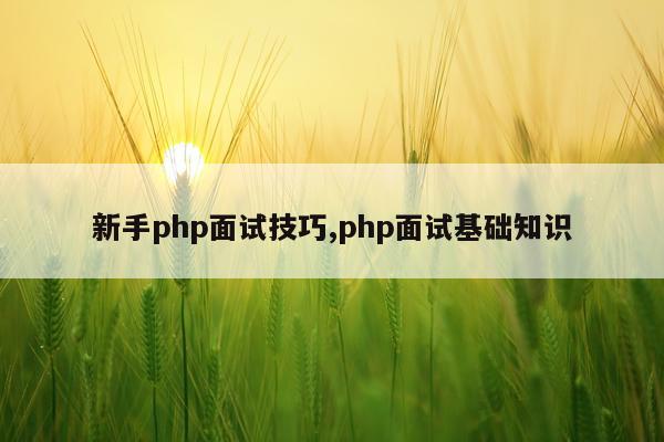 新手php面试技巧,php面试基础知识
