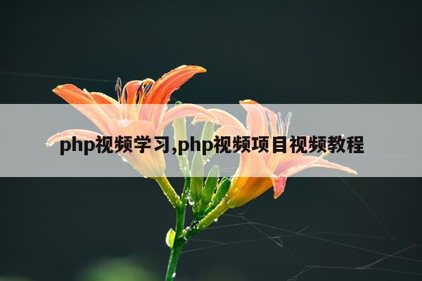 php视频学习,php视频项目视频教程