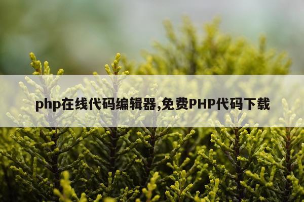 php在线代码编辑器,免费PHP代码下载
