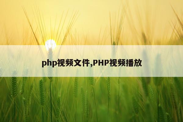 php视频文件,PHP视频播放