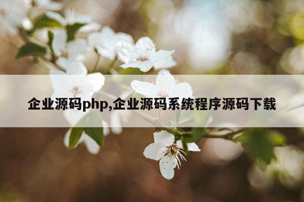 企业源码php,企业源码系统程序源码下载