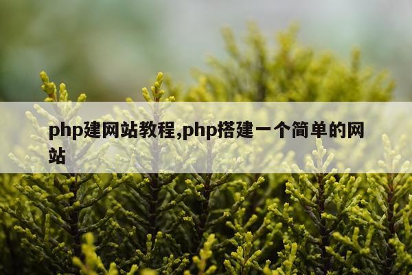 php建网站教程,php搭建一个简单的网站