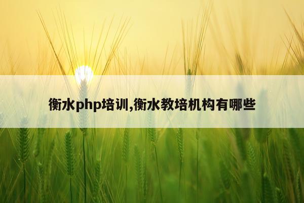 衡水php培训,衡水教培机构有哪些