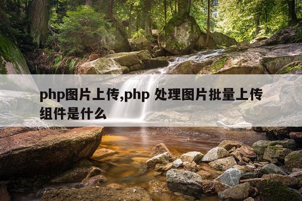 php图片上传,php 处理图片批量上传组件是什么