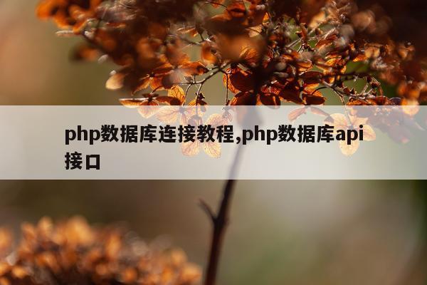 php数据库连接教程,php数据库api接口