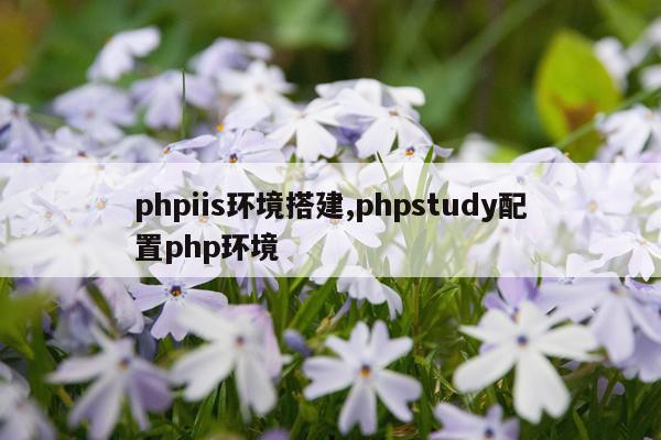 phpiis环境搭建,phpstudy配置php环境