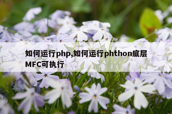 如何运行php,如何运行phthon底层MFC可执行