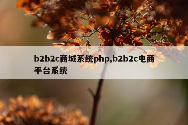 b2b2c商城系统php,b2b2c电商平台系统