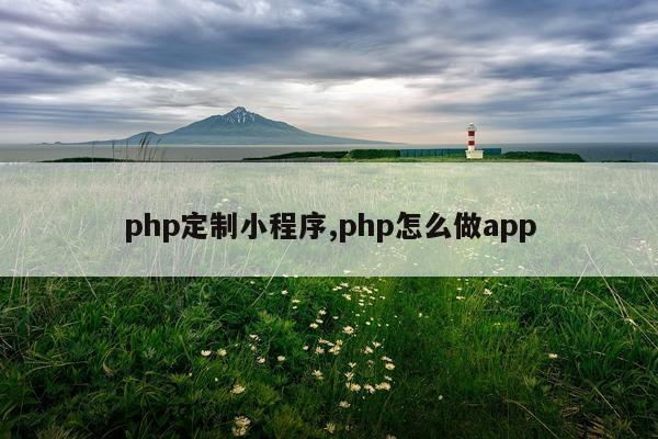 php定制小程序,php怎么做app