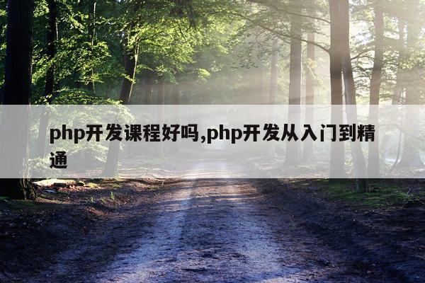 php开发课程好吗,php开发从入门到精通