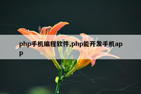 php手机编程软件,php能开发手机app