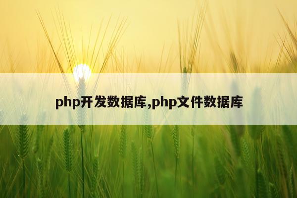 php开发数据库,php文件数据库