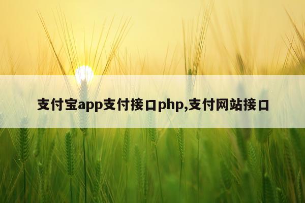支付宝app支付接口php,支付网站接口