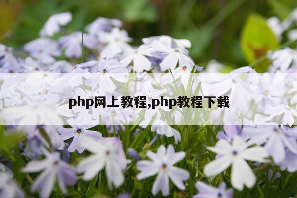 php网上教程,php教程下载