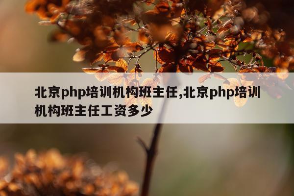 北京php培训机构班主任,北京php培训机构班主任工资多少