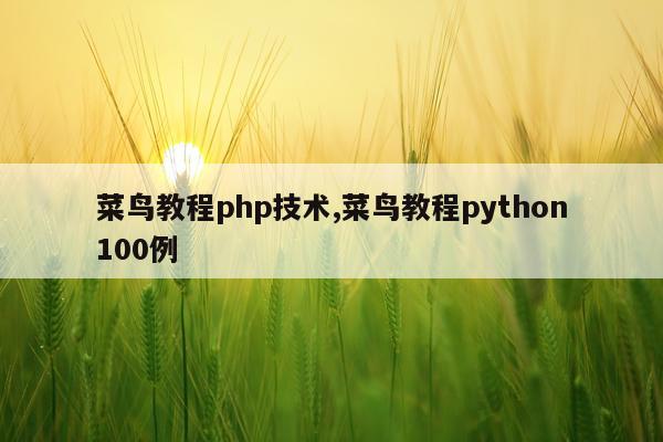 菜鸟教程php技术,菜鸟教程python100例