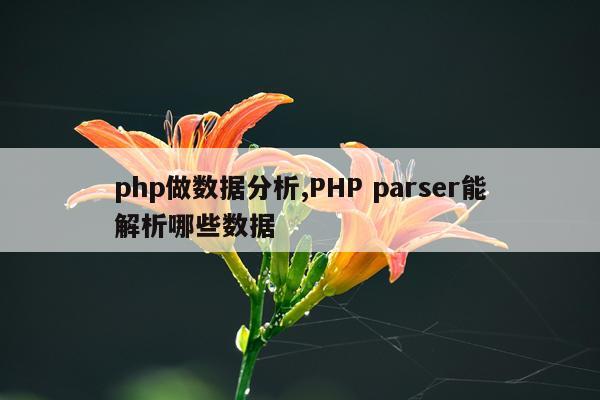 php做数据分析,PHP parser能解析哪些数据