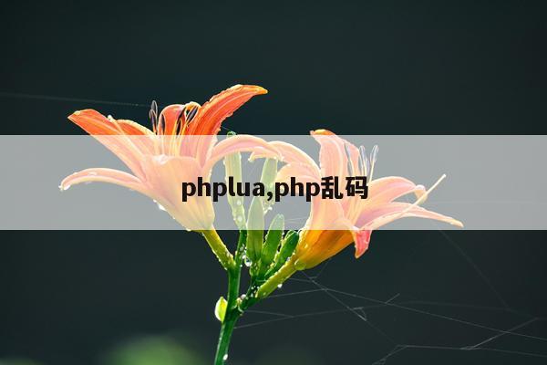 phplua,php乱码